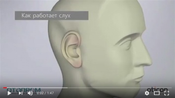 Как работает слух